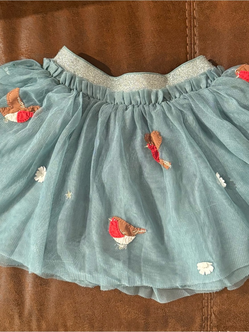 Tulle Skirt with Embroidered Robins